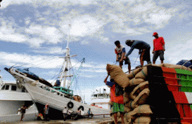 Biji Mete Sulawesi Tenggara Diminati Pasar Dunia