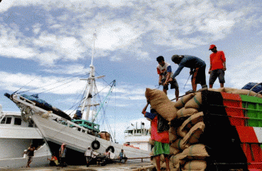 Biji Mete Sulawesi Tenggara Diminati Pasar Dunia