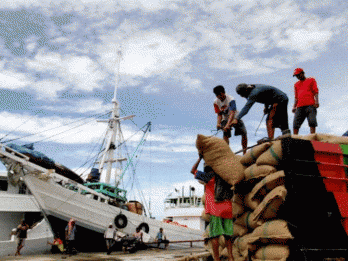 Biji Mete Sulawesi Tenggara Diminati Pasar Dunia