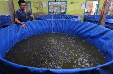 Galakkan Perikanan Budidaya, KKP Gaet Perguruan Tinggi