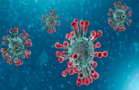 Duh, Strain Virus Corona Afrika Selatan 50 Persen Lebih Menular