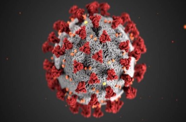 Sistem Imunitas Tubuh Ingat Virus Covid-19 Sampai Kapan? 