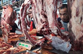 Peneliti: Rantai Distribusi Daging Terlalu Panjang