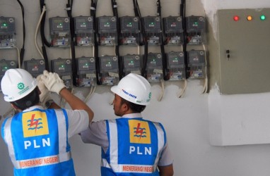 PLN Jalin Kerja Sama dengan Dua BUMN untuk Kembangkan Biomassa