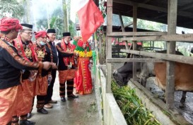 Unik! Begini Cara Kemenag Kembangkan Waqaf Produktif di Aceh