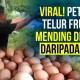 Begini Geramnya Peternak Ayam, Lihat Harga Jual Tidak Masuk Akal   