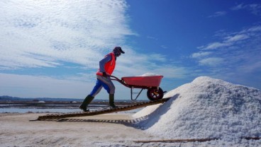 Kemenko Marves Targetkan Produksi Garam Nasional 3,1 Juta Ton pada 2021