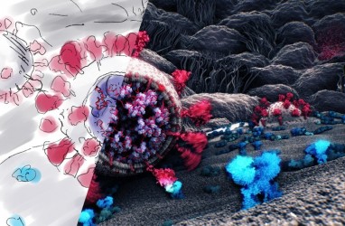 Ilmuwan Temukan Gambar 3D Pertama Virus Corona yang Lebih Detail