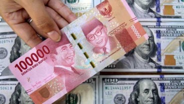Bidak CEO SWF Indonesia di Tangan Sri Mulyani, Ini Kandidat Kuatnya