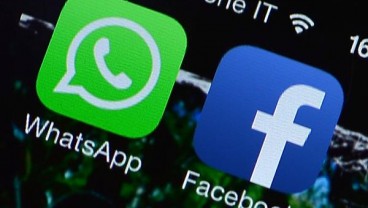 Survei: WhatsApp Kehilangan Pamor di India