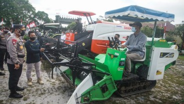 Kawasan Lumbung Pangan Kalteng Segera Panen, Begini Evaluasinya