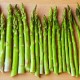 Asparagus Petani Temanggung Tembus Pasar Singapura