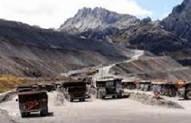 Pembangunan Smelter Freeport Lamban, DPR Minta BUMN Ambil Alih