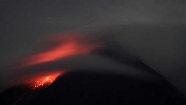 Pengungsi Merapi Pilih Pulang Demi Urus Ternak