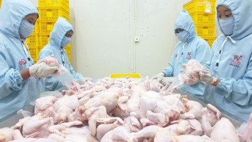 Laris Manis Diburu Investor, Saham Widodo Makmur (WMUU) Melejit   
