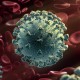 Hasil Penelitian: Thapsigargin Efektif Lawan Virus Corona