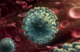 Hasil Penelitian: Thapsigargin Efektif Lawan Virus Corona