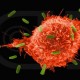 Studi : Antibodi Penyintas Covid-19 Bertahan 6 Bulan Setelah Terinfeksi