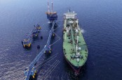 Silo Maritime (SHIP) Raih Kontrak Baru Setara Rp4,7 Triliun Juta pada 2020