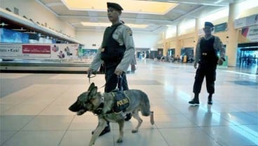 Anjing Pelacak bisa Deteksi Virus Corona dengan Akurasi 94 Persen