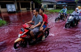 Cek Fakta : Viral Banjir Darah di Pekalongan