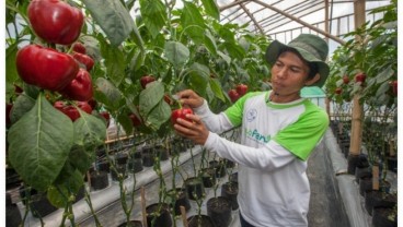 Danone Indonesia Gabung dengan Koalisi Air Indonesia