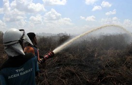 Masuki Musim Kemarau, Riau Tetapkan Status Siaga Darurat Karhutla