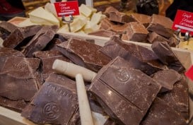 Anak Usaha Garudafood Jadi Distributor Cokelat Van Houten