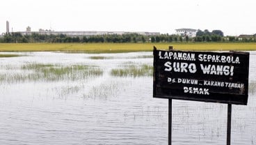 Banjir Rendam Ribuan Hektare Sawah di Demak, 674 Hektare Terancam Puso 