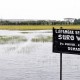 Banjir Rendam Ribuan Hektare Sawah di Demak, 674 Hektare Terancam Puso 