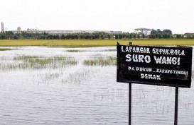 Banjir Rendam Ribuan Hektare Sawah di Demak, 674 Hektare Terancam Puso 