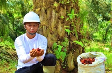 FAP Agri (FAPA) Lepas Seluruh Kepemilikan Saham Surya Dumai