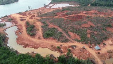 Walhi : Reklamasi Pascatambang di Kepri Berjalan Lambat