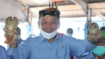 Edhy Prabowo Sengaja Bikin Perusahaan Kargo untuk Monopoli Ekspor Benur 