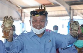 Edhy Prabowo Sengaja Bikin Perusahaan Kargo untuk Monopoli Ekspor Benur 