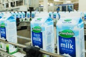 Simak Strategi Greenfields Jaga Kinerja Tahun ini