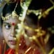 Iklan Pernikahan Anak Asia Weddings Bentuk Perdagangan Manusia