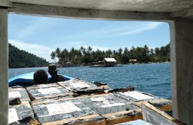 KKP Lepasliarkan Ratusan Ribu Benur Lobster Selundupan di Padang
