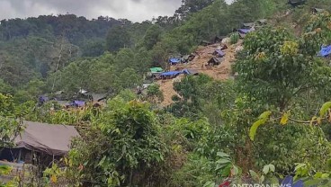 Ketika Penambang Emas Tanpa Izin Menyerbu Taman Nasional Lore Lindu