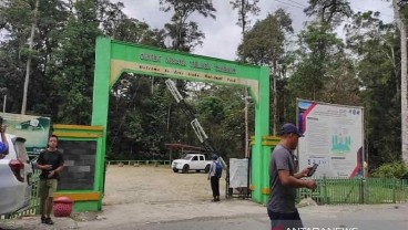 Upaya Tarik Wisatawan, Balai Besar TNLL Benahi Objek Wisata Danau Tambing Poso