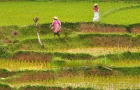 Jumlah Penduduk Miskin di Sumbar Bertambah 6,56 Persen