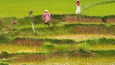 Jumlah Penduduk Miskin di Sumbar Bertambah 6,56 Persen