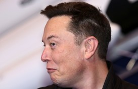 Elon Musk Sang Influencer Lama