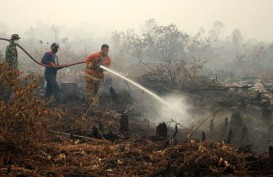 Riau Resmi Tetapkan Status Siaga Darurat Karhutla