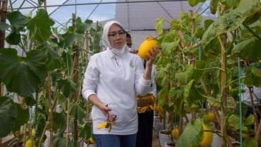 Ini Strategi Purwakarta Penuhi Kebutuhan Komoditas Hortikultura