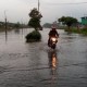 Bencana Alam Hidrologi: Giliran Sidoarjo Direndam Banjir