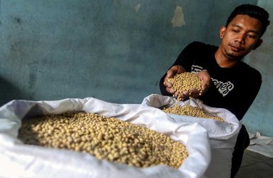 Harga Kedelai Impor di Kudus Kembali Naik