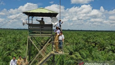 Perusahaan Perkebunan di Kalbar Diimbau agar Waspadai Karhutla