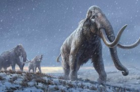 DNA Tertua di Dunia Diurutkan dari Mammoth Berusia…