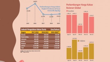 PRODUKSI KAKAO MENINGKAT : Kian Berdaulat di Komoditas Cokelat 